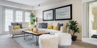 ReNew Poplar Creek Gallery 16