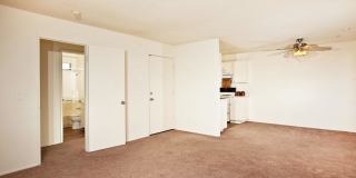 Elan Vista Alta Gallery 6