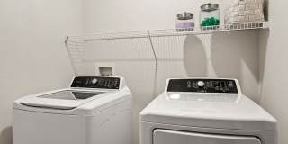 Hue on Greenhouse Gallery 17