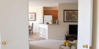 4332 BAYBERRY COURT Gallery 9