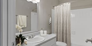 The Palms at Countryside Apartments Gallery 6