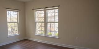 42480 ROCKROSE Square unit: 303 Gallery 12