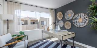 Park Sierra Gallery 64