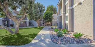 Ocean Vista Ocean Vista Gallery 1