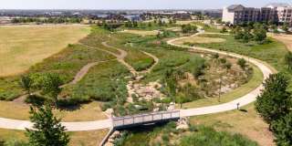 Paloma Village Gallery 37