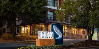 Cielo Gallery 48