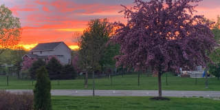 Gorgeous 6 Bed/3 Bath/3 Garage SFH with Screened in Porch, and Firepit in Minnetrista! Gallery 1