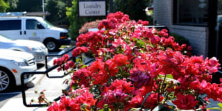 University Garden Apartment Homes Gallery 94