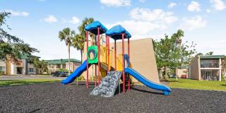 Buena Vista Gallery 97