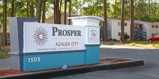 Prosper Azalea City Gallery 24