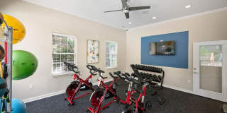 The Whitney Gallery 15