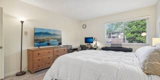 Upstairs Bright 2 bedroom Condo Gallery 32
