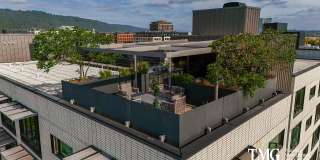 Muse Apartments Gallery 5