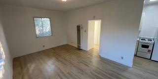 360 Palm Ave Gallery 13