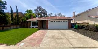 Bright Updated 4 Bedroom Home with Spacious Yard for Rent - Union City! Gallery 1