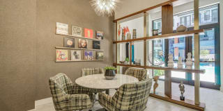 Navara Gallery 17