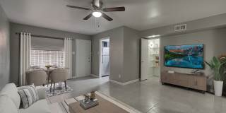 Ashford Buena Vista Gallery 3