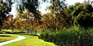 Valentia by Windsor Gallery 34