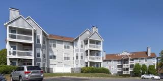 Canopy at Baybrook Canopy at Baybrook Gallery 48