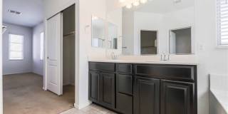 716 CALAMUS PALM Place Gallery 14