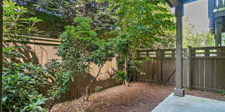 4Bd/2.5Ba Renton Townhome Gallery 29