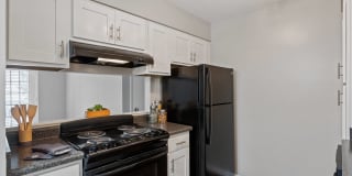 Villages at Spring Hill Apartments Gallery 5