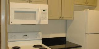Perfect 4 Bedroom, 2 Bathroom House -- Walk to UF! Gallery 6