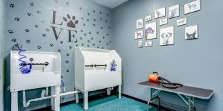 The Haven at Atwater Village Gallery 23