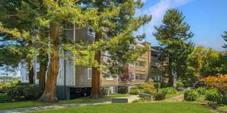 Serramonte Ridge Gallery 28