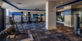 The Veridian Gallery 83