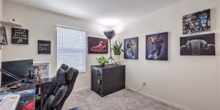 6816 Citron Mist Court Gallery 24