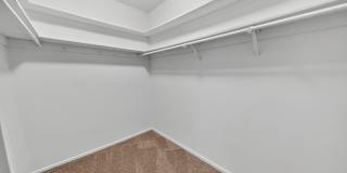 The Forest Apartments Gallery 8