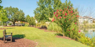 Springhouse Gallery 5