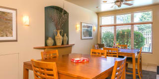 Rose Vista Gallery 23