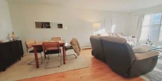 11 Elmwood Street Gallery 7