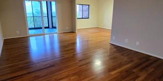 5903 MOUNT EAGLE Drive Gallery 6