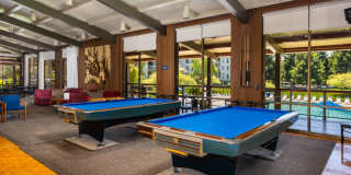 Sunny Studio in Resort Setting on the Bay 15 minutes from SF Gallery 29