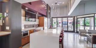 200 Harbor Dr. Gallery 18