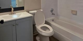 ** HALF OFF 1ST MONTH'S RENT WITH 13 MONTH LEASE ** Gallery 5