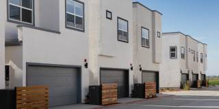 Cyrene at Meadowlands Gallery 8