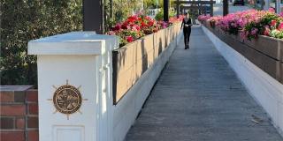 512 Jasmine Avenue Gallery 45