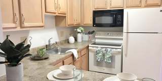 Williamsburg Village Apartments Gallery 1