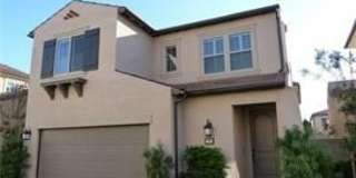 79 SPLENDOR Gallery 1