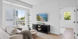 Haven + Arrow Gallery 43