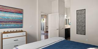 Olive Queen Creek Gallery 9