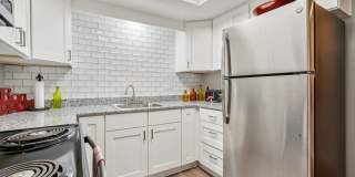 Buena Vista Gallery 39