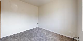 Pineview Gallery 11
