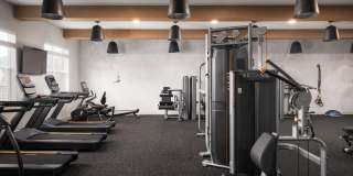 The Meadows Gallery 7