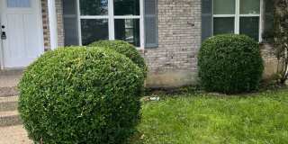 Newly Renovated 3 Bedroom Ranch Gallery 1