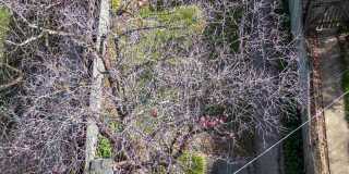 127 STANMORE Road Gallery 35